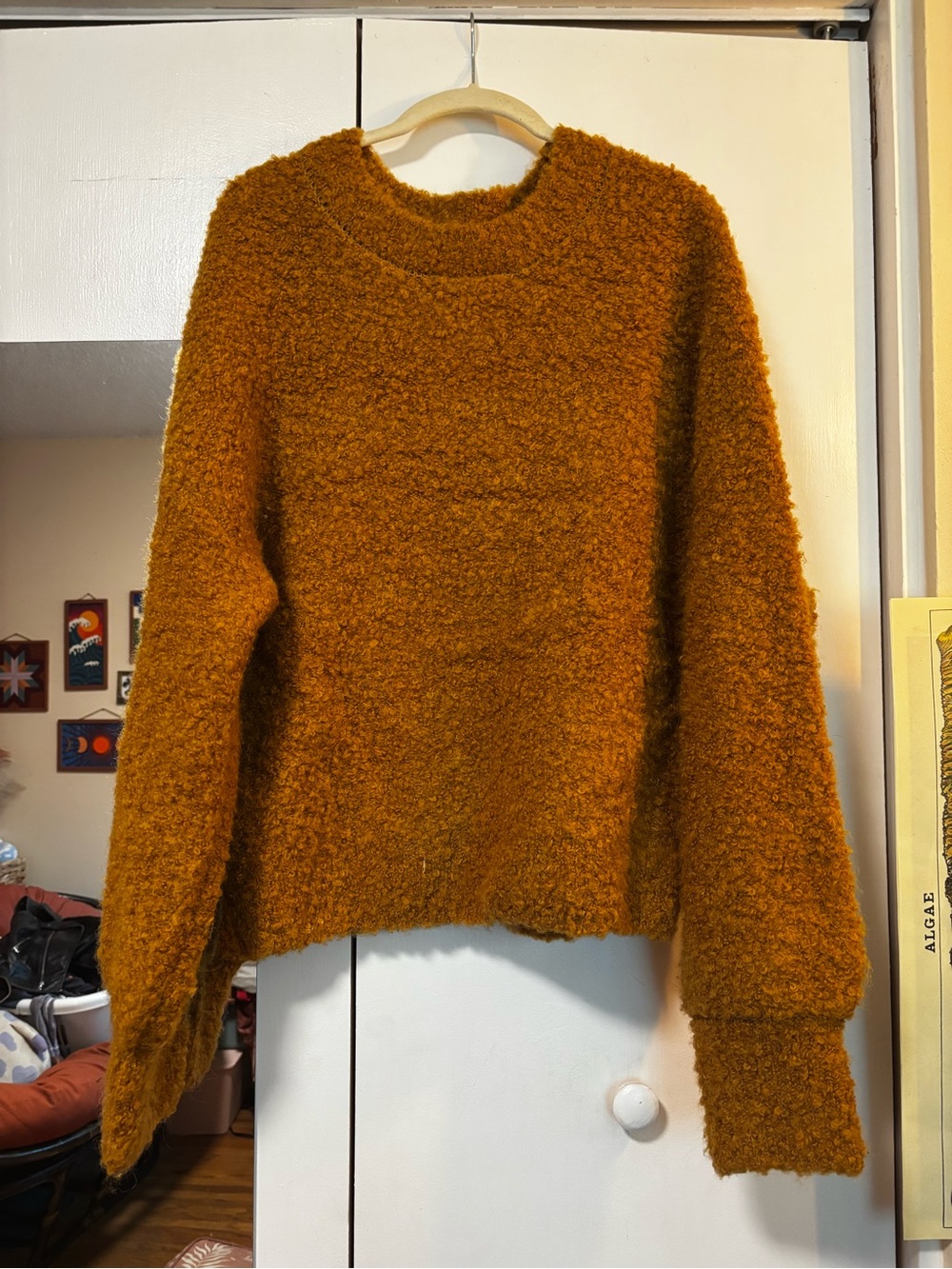 Frank & Oak Women's Fuzzy Crewneck Sweater - Burnt Orange